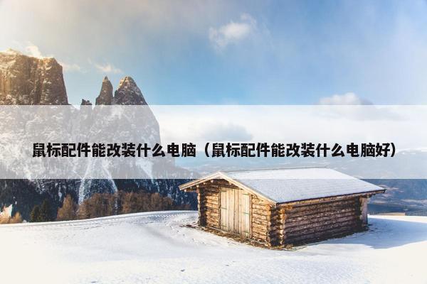 鼠标配件能改装什么电脑（鼠标配件能改装什么电脑好）