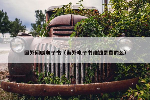 国外网赚电子书（海外电子书赚钱是真的么）