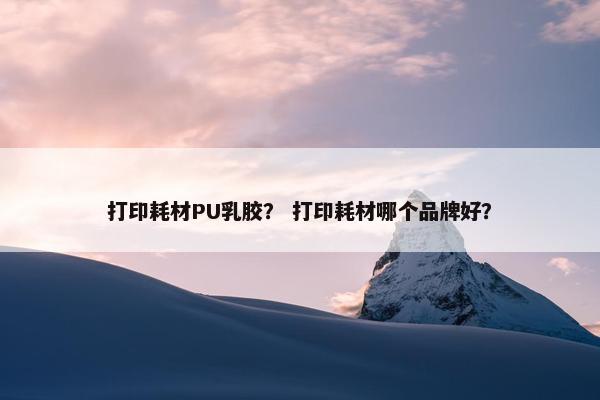 打印耗材PU乳胶？ 打印耗材哪个品牌好？