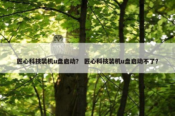匠心科技装机u盘启动？ 匠心科技装机u盘启动不了？