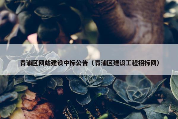 青浦区网站建设中标公告（青浦区建设工程招标网）