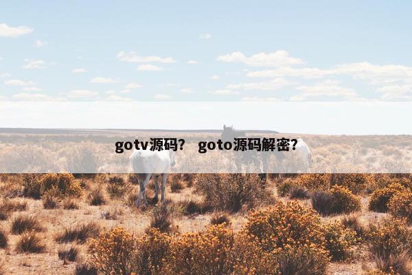 gotv源码？ goto源码解密？