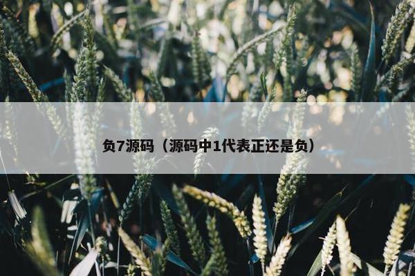 负7源码（源码中1代表正还是负）