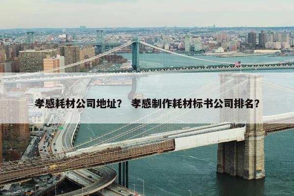 孝感耗材公司地址？ 孝感制作耗材标书公司排名？