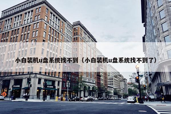 小白装机u盘系统找不到（小白装机u盘系统找不到了）