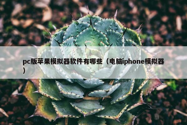 pc版苹果模拟器软件有哪些（电脑iphone模拟器）