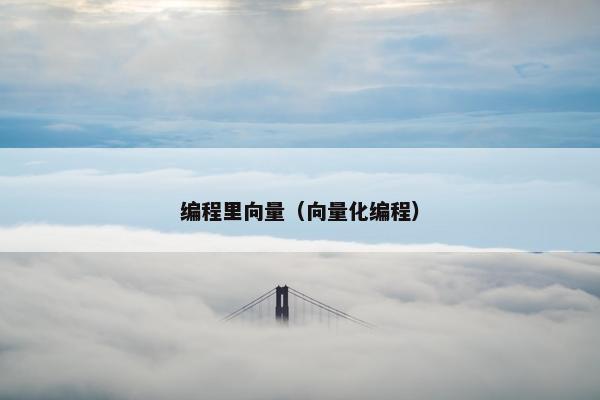 编程里向量（向量化编程）