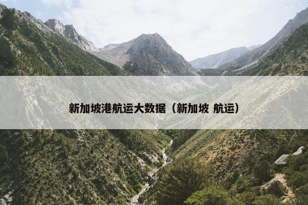 新加坡港航运大数据（新加坡 航运）