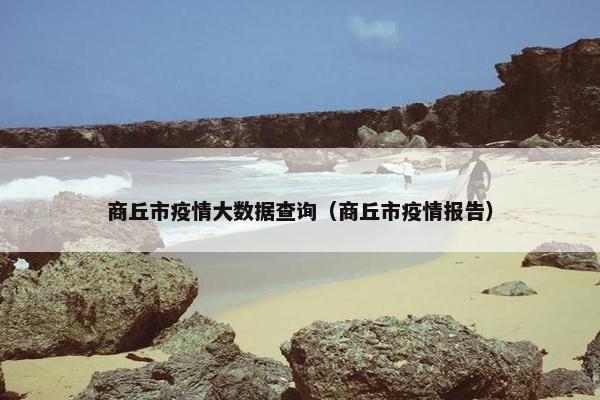商丘市疫情大数据查询（商丘市疫情报告）