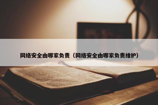 网络安全由哪家负责（网络安全由哪家负责维护）