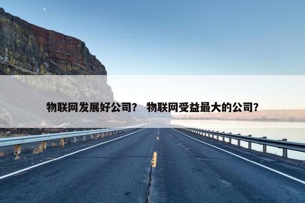 物联网发展好公司？ 物联网受益最大的公司？