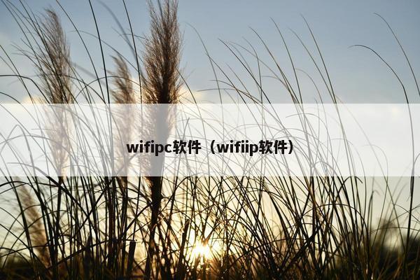 wifipc软件（wifiip软件）