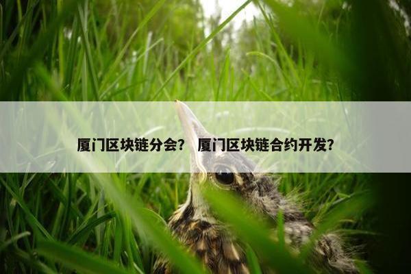 厦门区块链分会？ 厦门区块链合约开发？