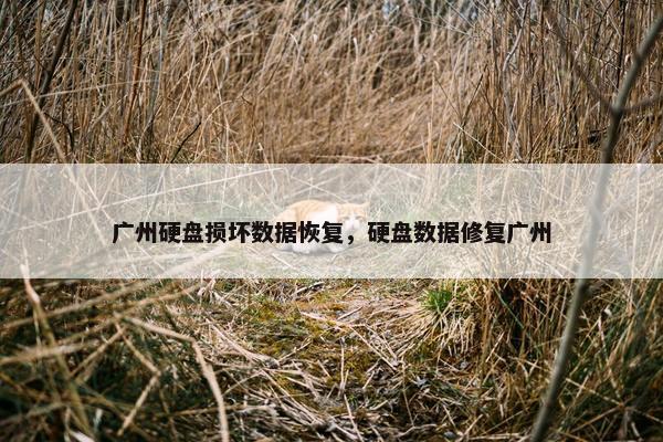广州硬盘损坏数据恢复，硬盘数据修复广州