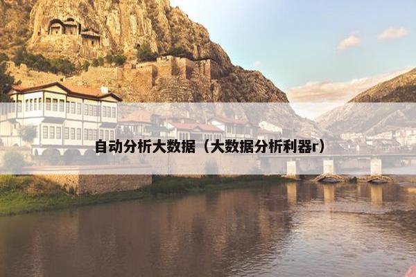 自动分析大数据（大数据分析利器r）