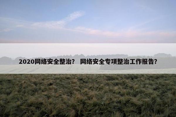2020网络安全整治？ 网络安全专项整治工作报告？