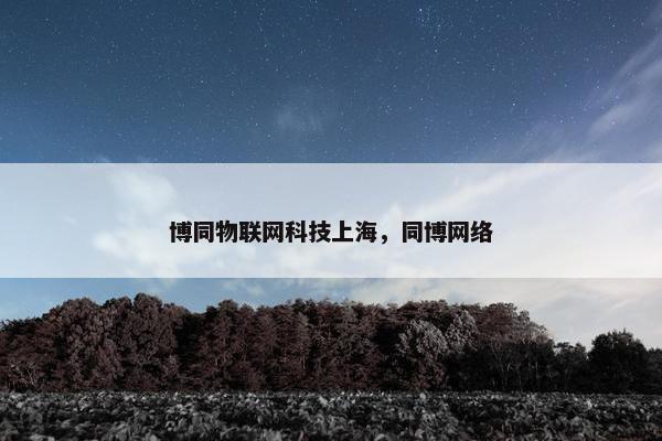 博同物联网科技上海，同博网络