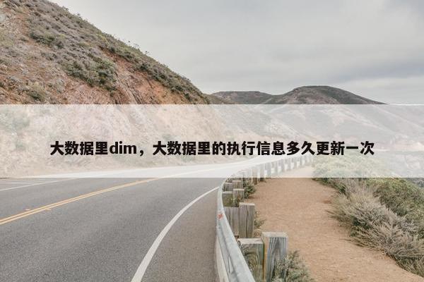 大数据里dim，大数据里的执行信息多久更新一次