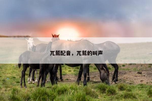 兀鹫配音，兀鹫的叫声