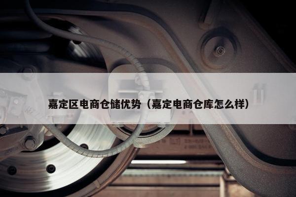 嘉定区电商仓储优势（嘉定电商仓库怎么样）