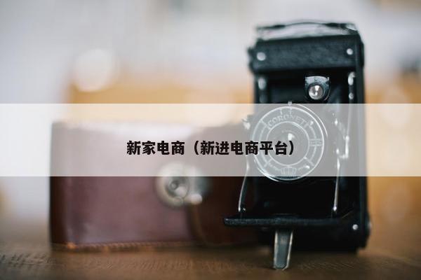 新家电商（新进电商平台）