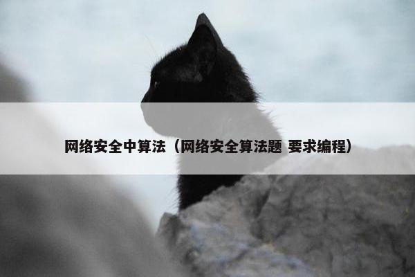 网络安全中算法（网络安全算法题 要求编程）