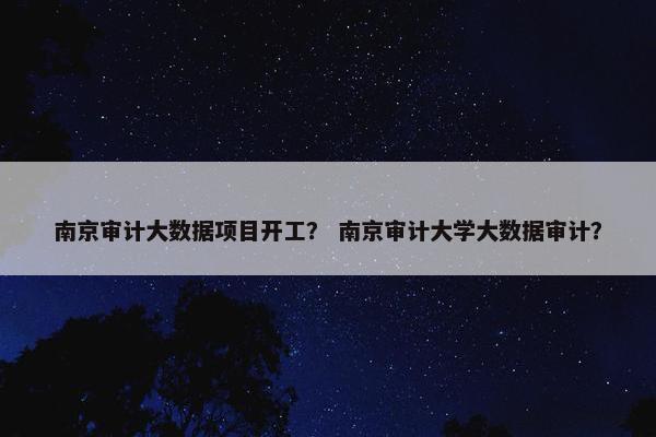 南京审计大数据项目开工？ 南京审计大学大数据审计？