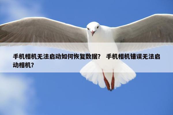 手机相机无法启动如何恢复数据？ 手机相机错误无法启动相机？