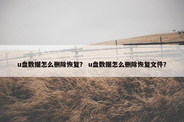 u盘数据怎么删除恢复？ u盘数据怎么删除恢复文件？
