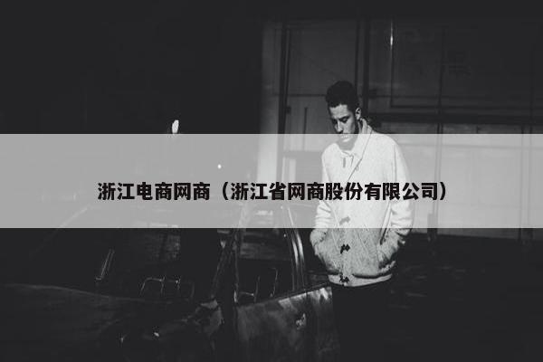 浙江电商网商（浙江省网商股份有限公司）