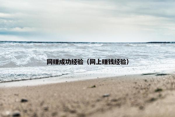 网赚成功经验（网上赚钱经验）
