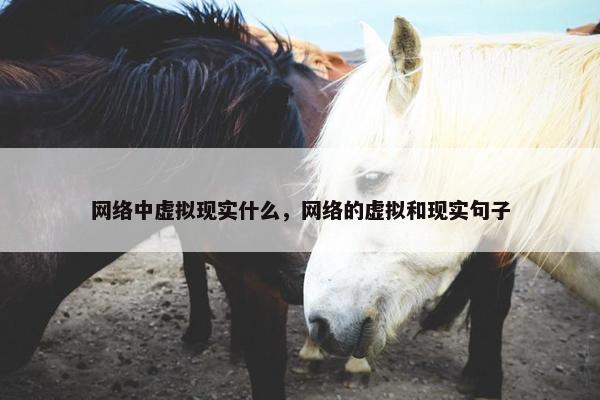 网络中虚拟现实什么，网络的虚拟和现实句子