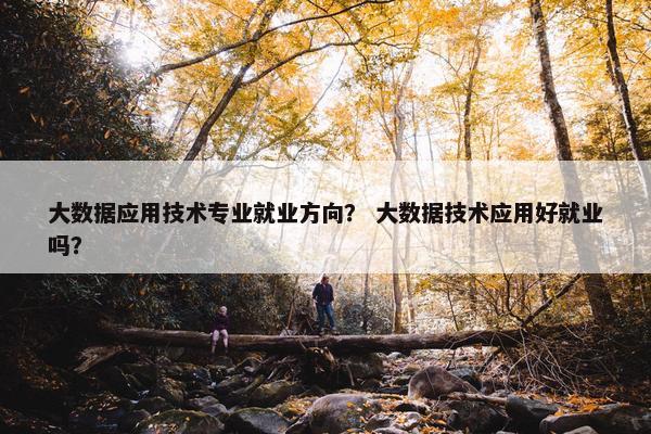 大数据应用技术专业就业方向？ 大数据技术应用好就业吗？