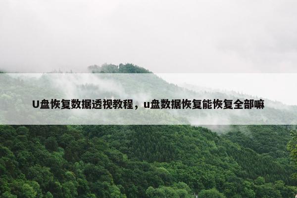 U盘恢复数据透视教程，u盘数据恢复能恢复全部嘛