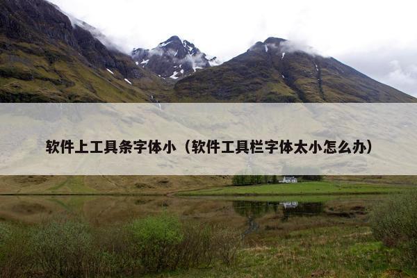 软件上工具条字体小（软件工具栏字体太小怎么办）
