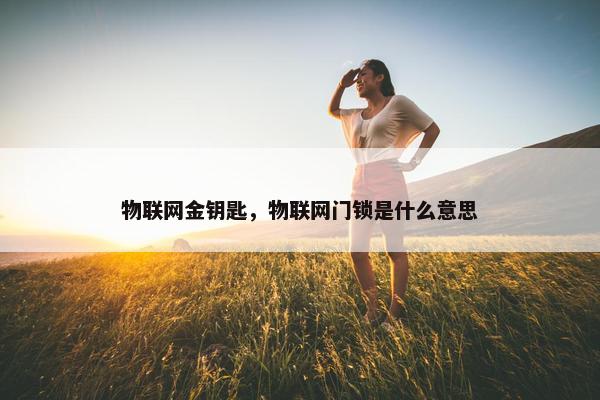 物联网金钥匙，物联网门锁是什么意思