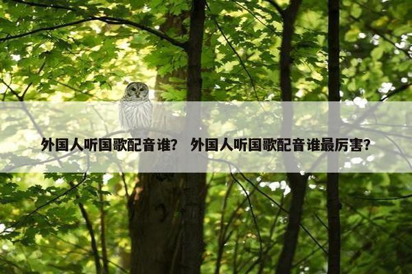 外国人听国歌配音谁？ 外国人听国歌配音谁最厉害？