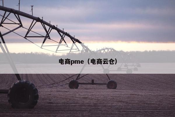电商pme（电商云仓）