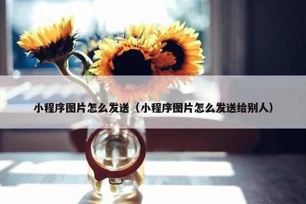 小程序图片怎么发送（小程序图片怎么发送给别人）