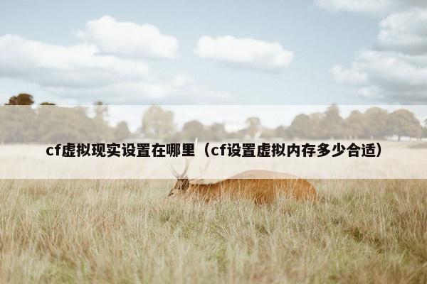 cf虚拟现实设置在哪里（cf设置虚拟内存多少合适）