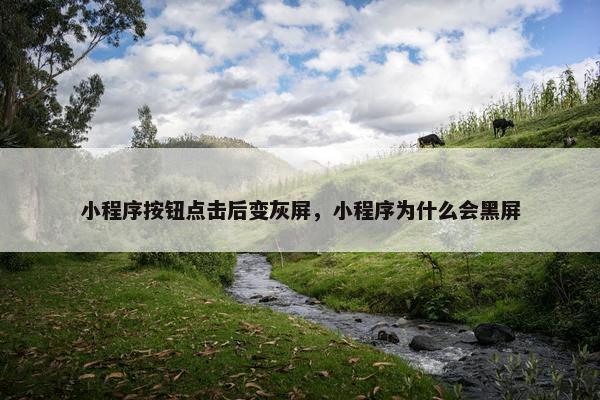 小程序按钮点击后变灰屏，小程序为什么会黑屏