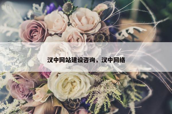 汉中网站建设咨询，汉中网络