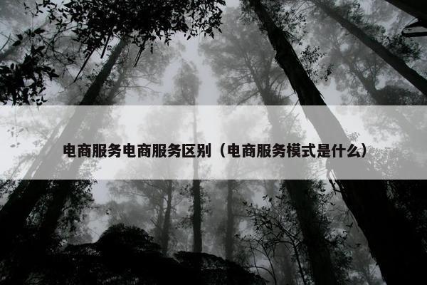 电商服务电商服务区别（电商服务模式是什么）