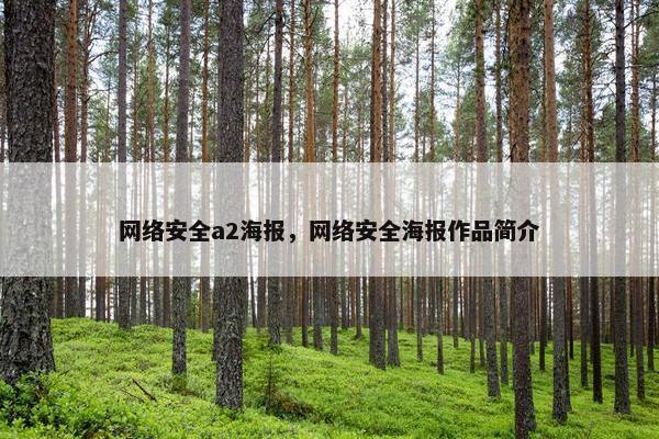网络安全a2海报，网络安全海报作品简介
