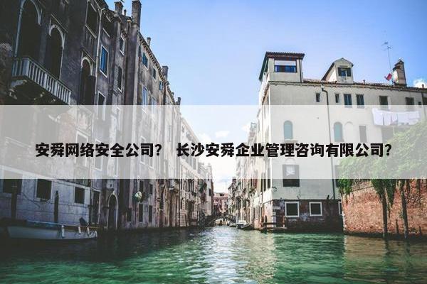 安舜网络安全公司？ 长沙安舜企业管理咨询有限公司？