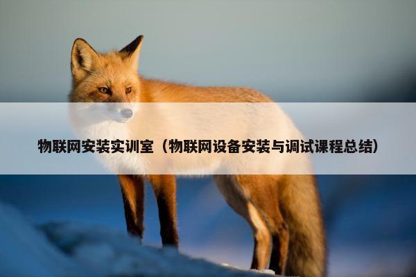 物联网安装实训室（物联网设备安装与调试课程总结）