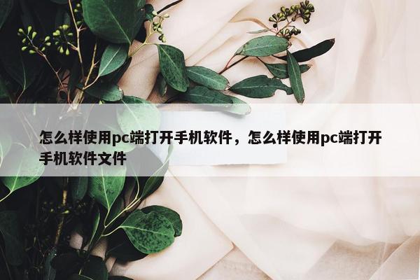 怎么样使用pc端打开手机软件，怎么样使用pc端打开手机软件文件