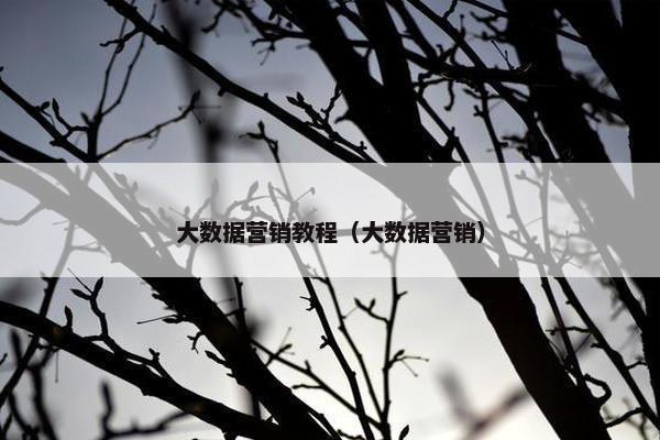 大数据营销教程（大数据营销）