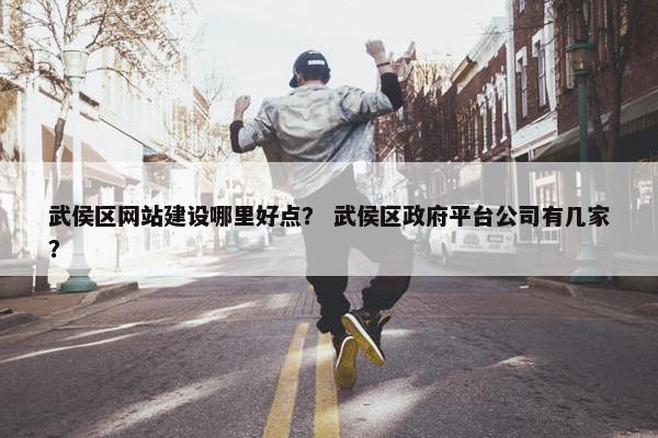 武侯区网站建设哪里好点？ 武侯区政府平台公司有几家？