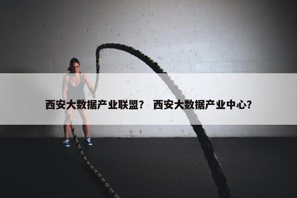 西安大数据产业联盟？ 西安大数据产业中心？